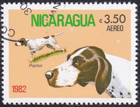 Pointer