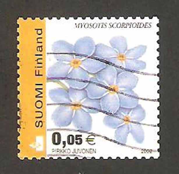 1569 - Flor, Myosotis scorpioides (Nomeolvides)