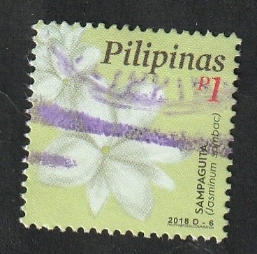 4202 - Flor, Jasmin de Arabia, Jasminum sambac