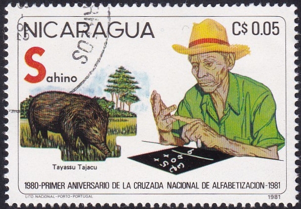 Alfabetización