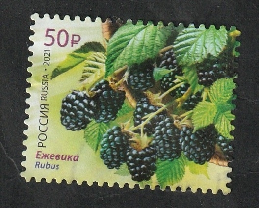 Fruta, arándanos