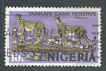 Leopardos