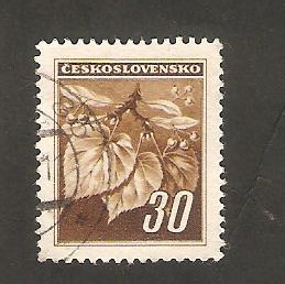373 - Hojas de tilo