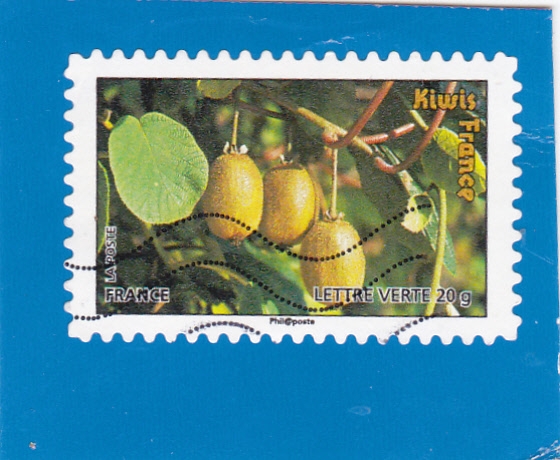 KIWIS