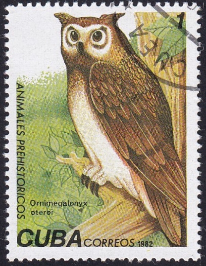 Ornimegalonyx oteroi