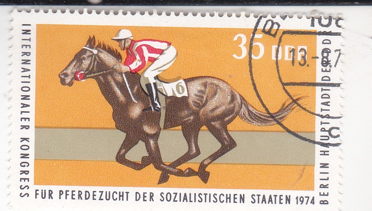 CARRERA DE CABALLOS