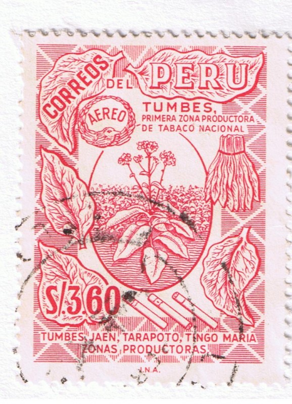 Tumbes primera zona productora de tabaco nacional