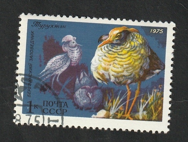 4176 - Fauna rusa