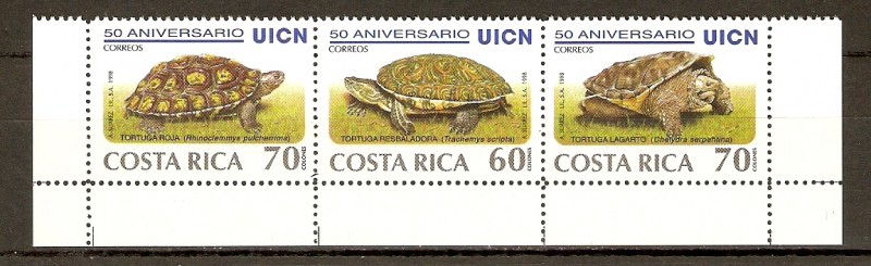 Tortugas