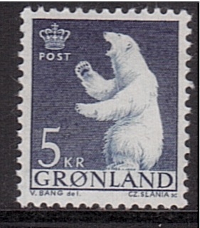 serie- Oso polar