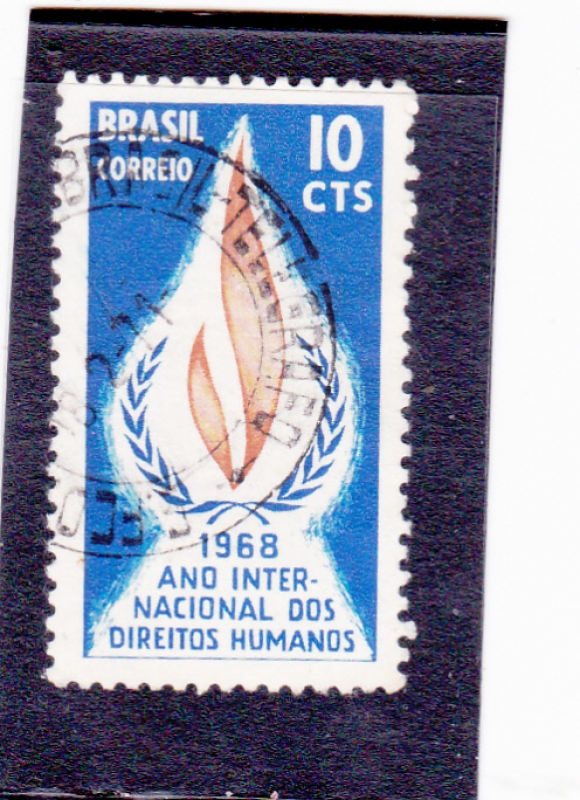 Año Internacional de los Derechos Humanos