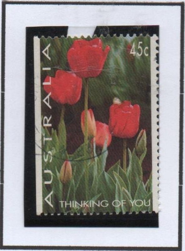 Tulipanes
