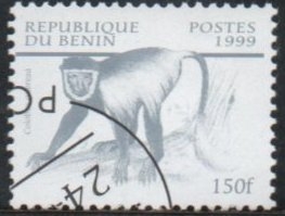 Fauna Africana: Colombus Geereza