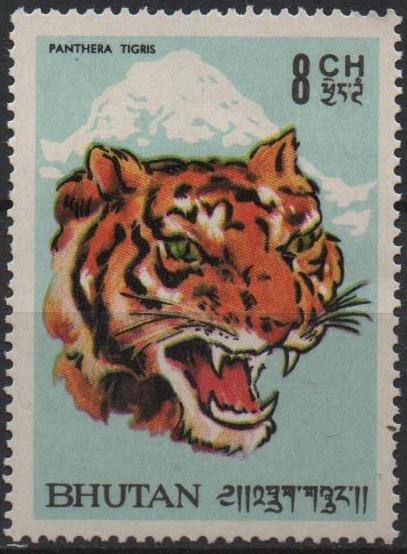 Tigre
