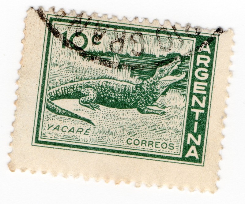 YACARE