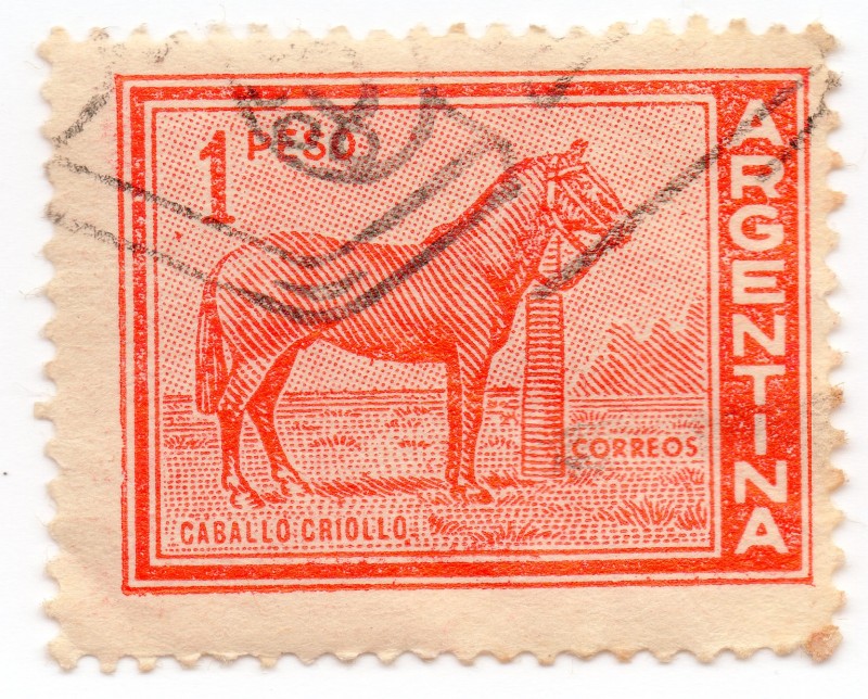 CABALLO