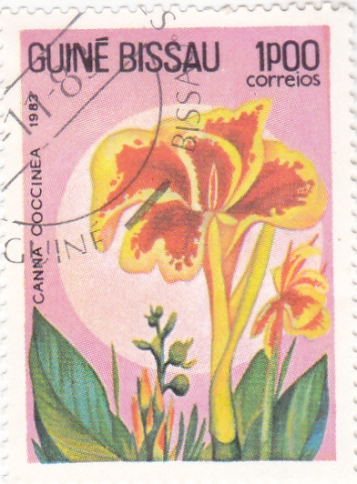 FLORES