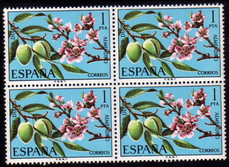 1975 B4 Flora: almendro Edifil 2254