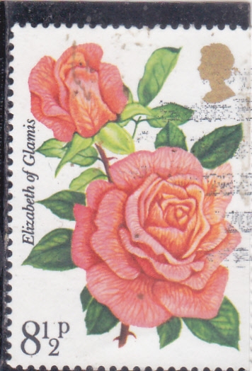 Rosas