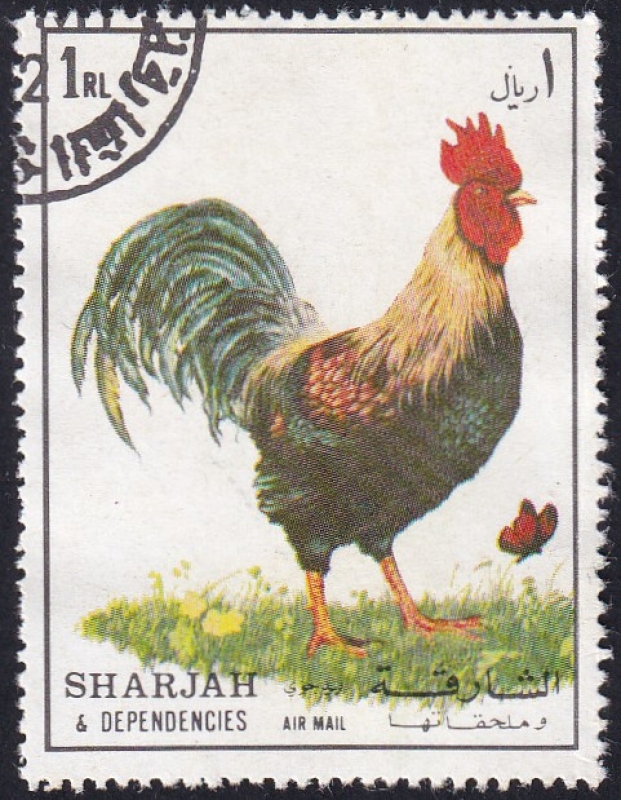 Gallo