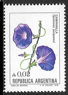Flores - Campanilla