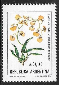 Flores - Flor de Patito   