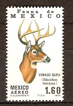 Venado