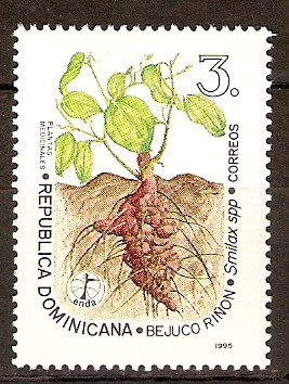 Plantas medicinales