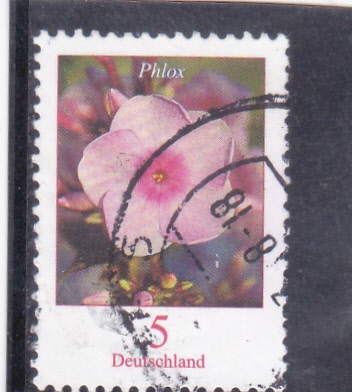 FLOR