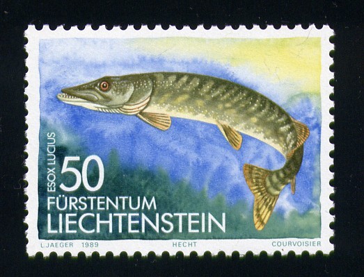 serie- Peces