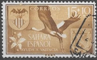 Sahara Español