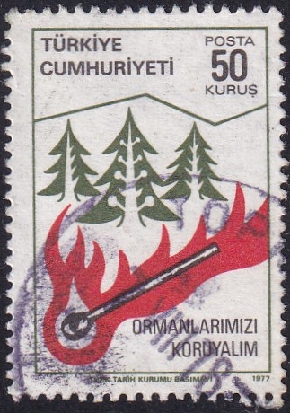 Conservación bosques