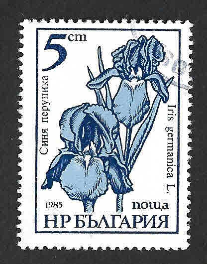 3106 - Flores