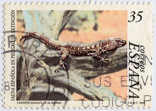 Fauna española en peligro de extinción