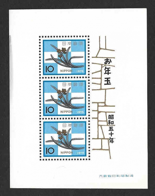 1198a - HB Cubierta de Uñas Ornamentales
