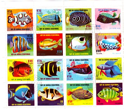PECES TROPICALES