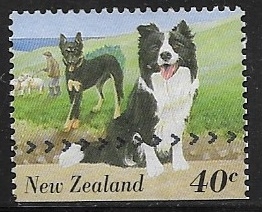 (Canis lupus familiaris