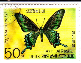 Mariposa