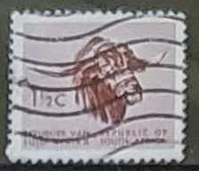 Toro Sudafricano