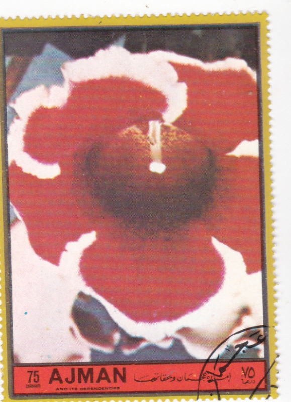 FLORES