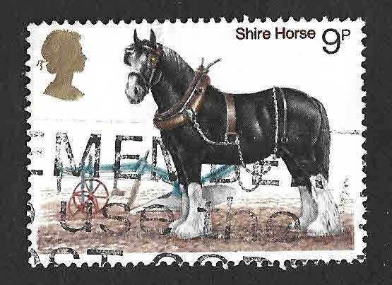 839 - Caballos Británicos