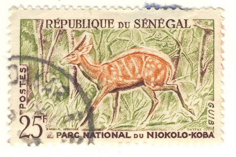 parque nacinal de NIOKOLO-KOBA