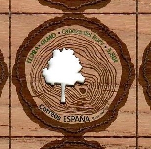 Flora- Olmo
