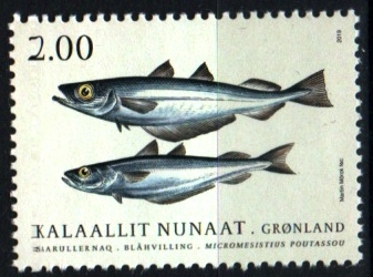 serie- Peces de Groelandia