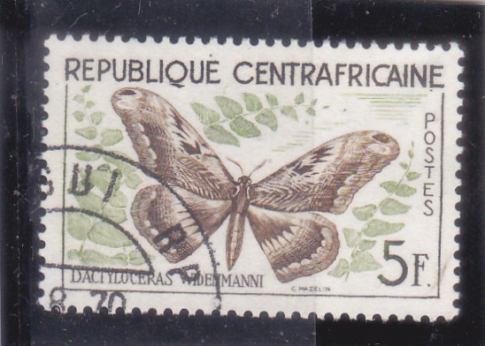 Mariposa