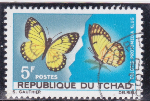 Mariposas