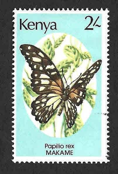 431 - Cola de Golondrina Real