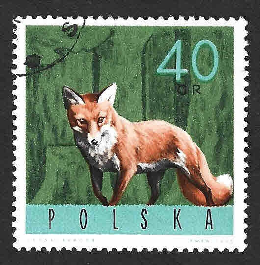 1371 - Zorro Rojo