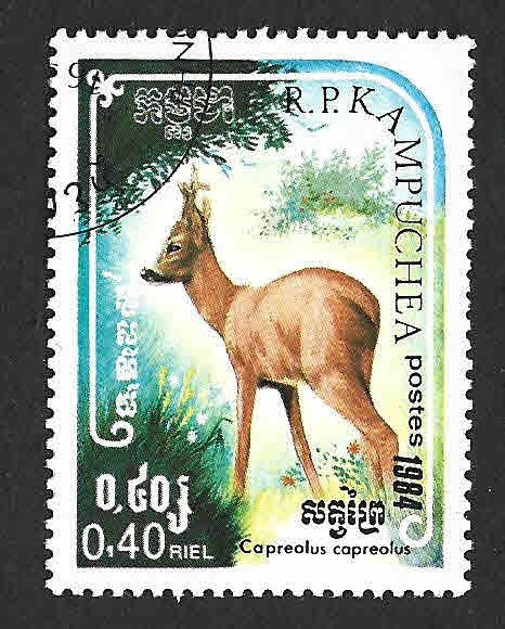 534 - Corzo