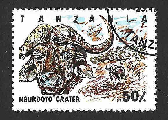 1186 - Búfalo Cafre